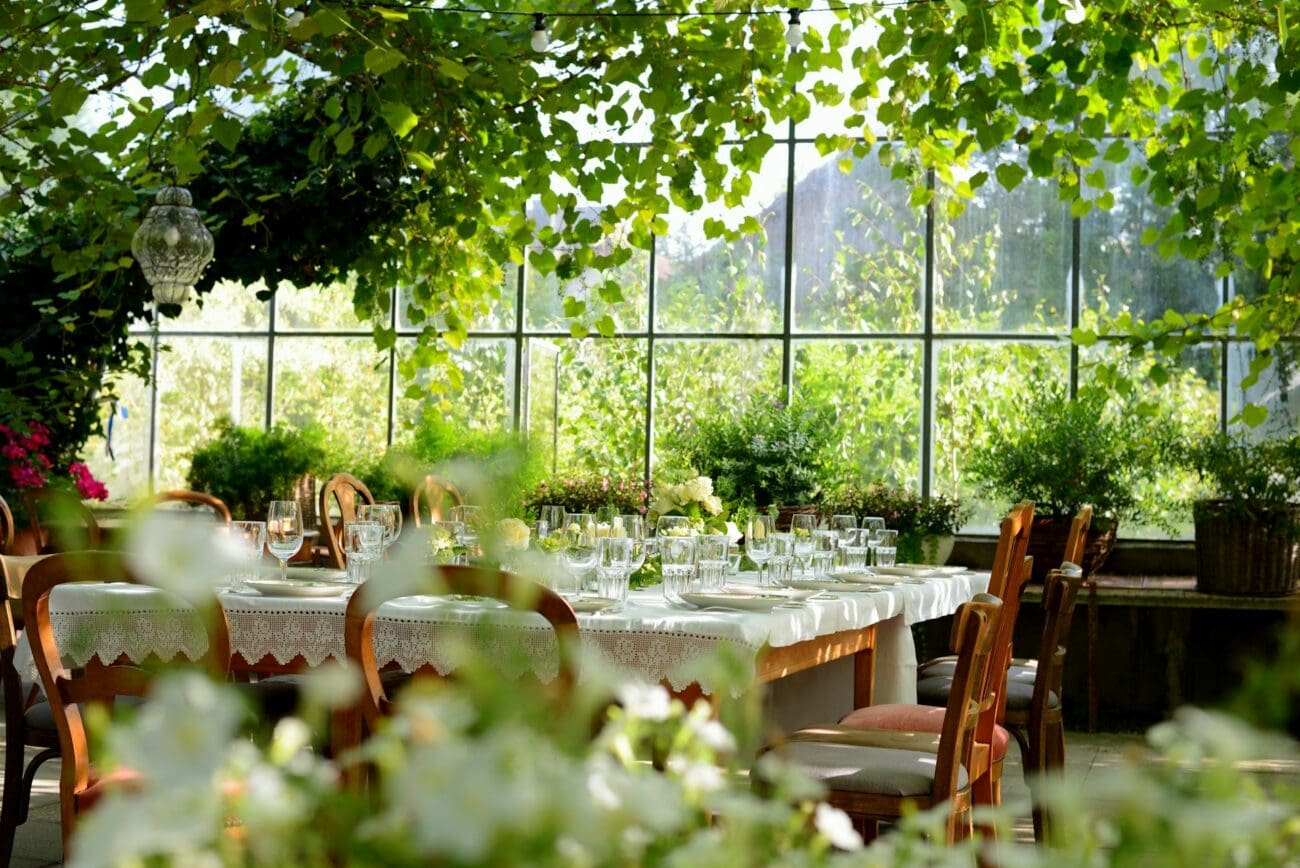 Table de banquet de mariage dressée dans une serre lumineuse ou orangerie avec de la végétation suspendue et des verres à vin.