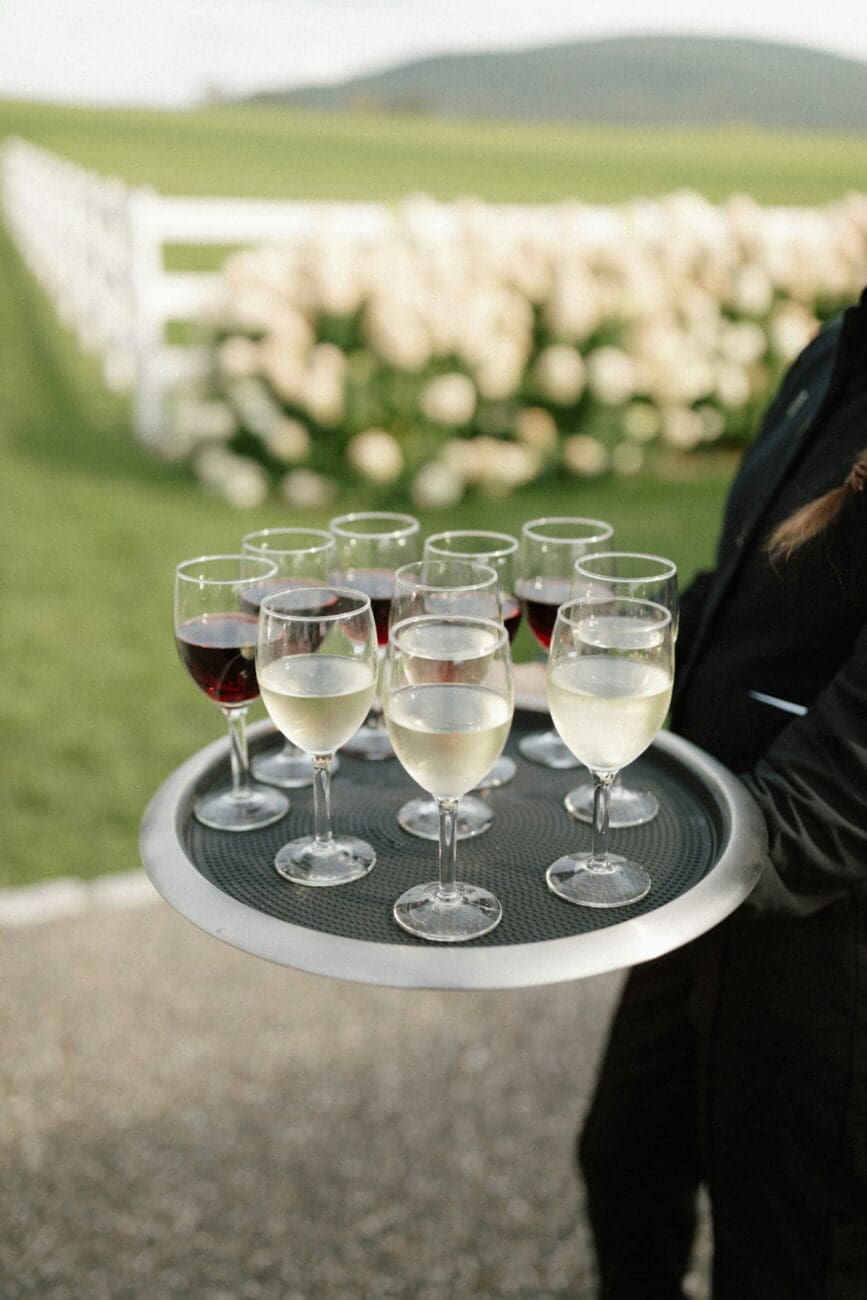 Serveur portant un plateau de verres de vin blanc et de vin rouge lors d'une réception de mariage en extérieur.