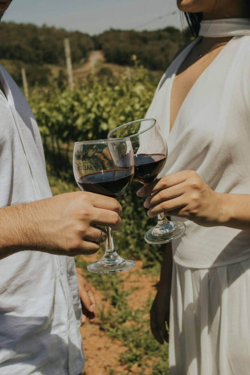 Un couple trinquant avec des verres de vin rouge au cœur d'un vignoble ensoleillé, une expérience proposée par vins-mariages.net.
